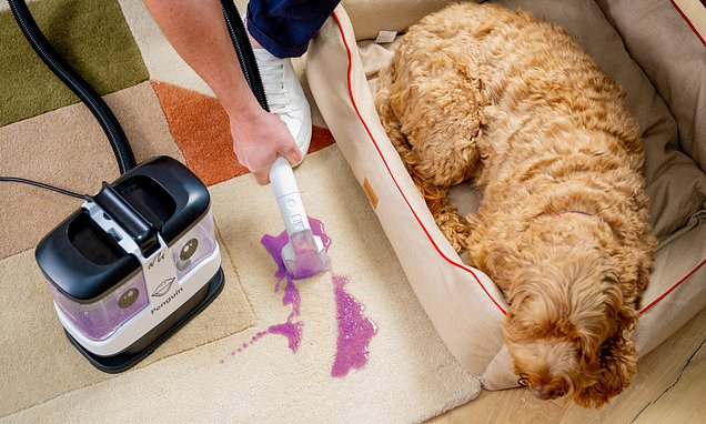 5 Cleaning Hacks for Appliances and Exterior Surfaces