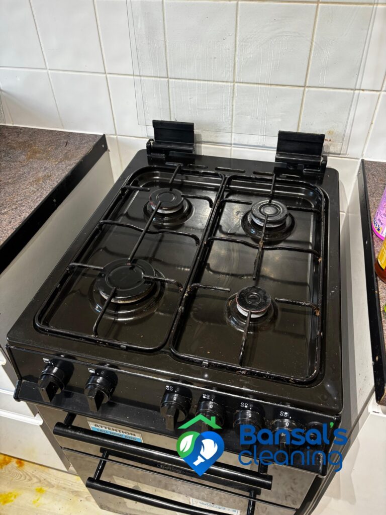 appliance cleaning