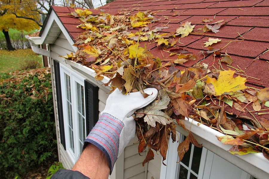 clean gutters spring
