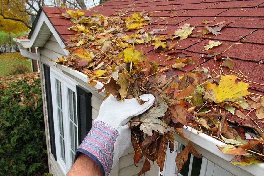 gutter cleaning fall