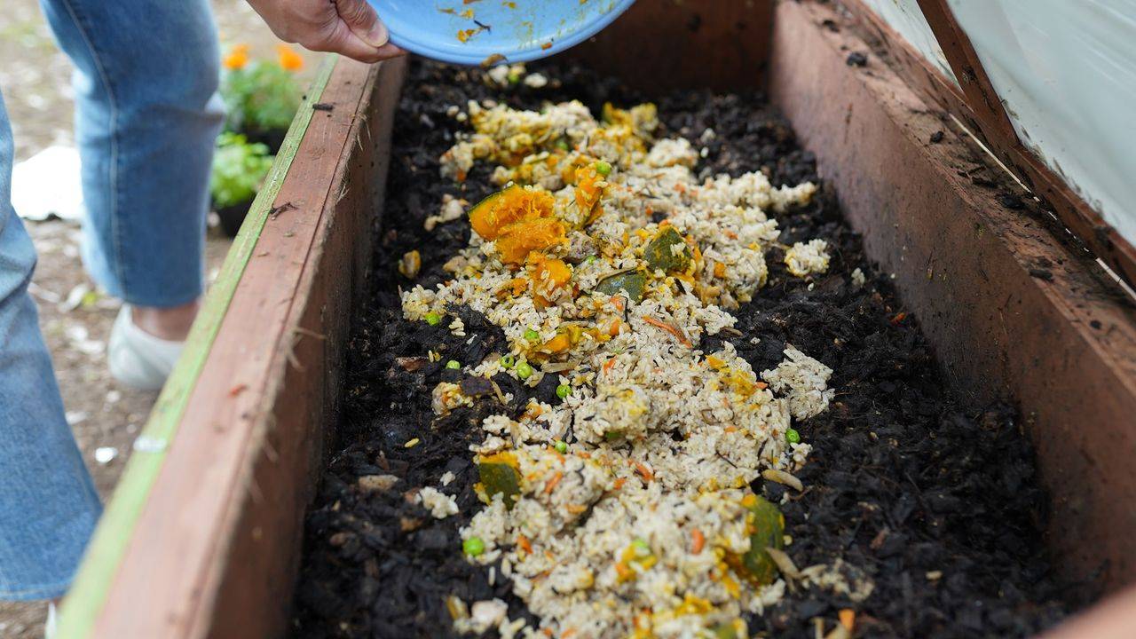 food sludge in garbage disposal