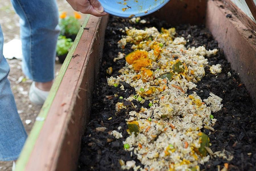 food sludge in garbage disposal