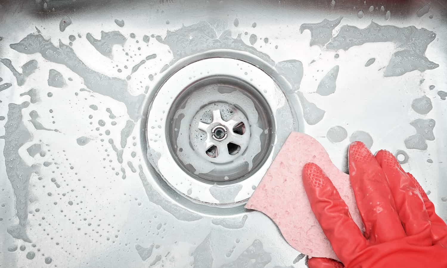 mold and bacteria in garbage disposal