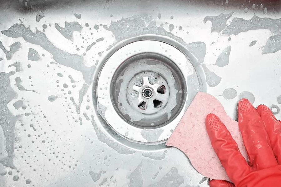 mold and bacteria in garbage disposal