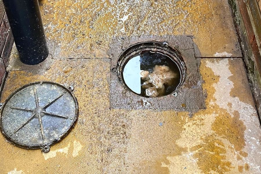 rusty garbage disposal