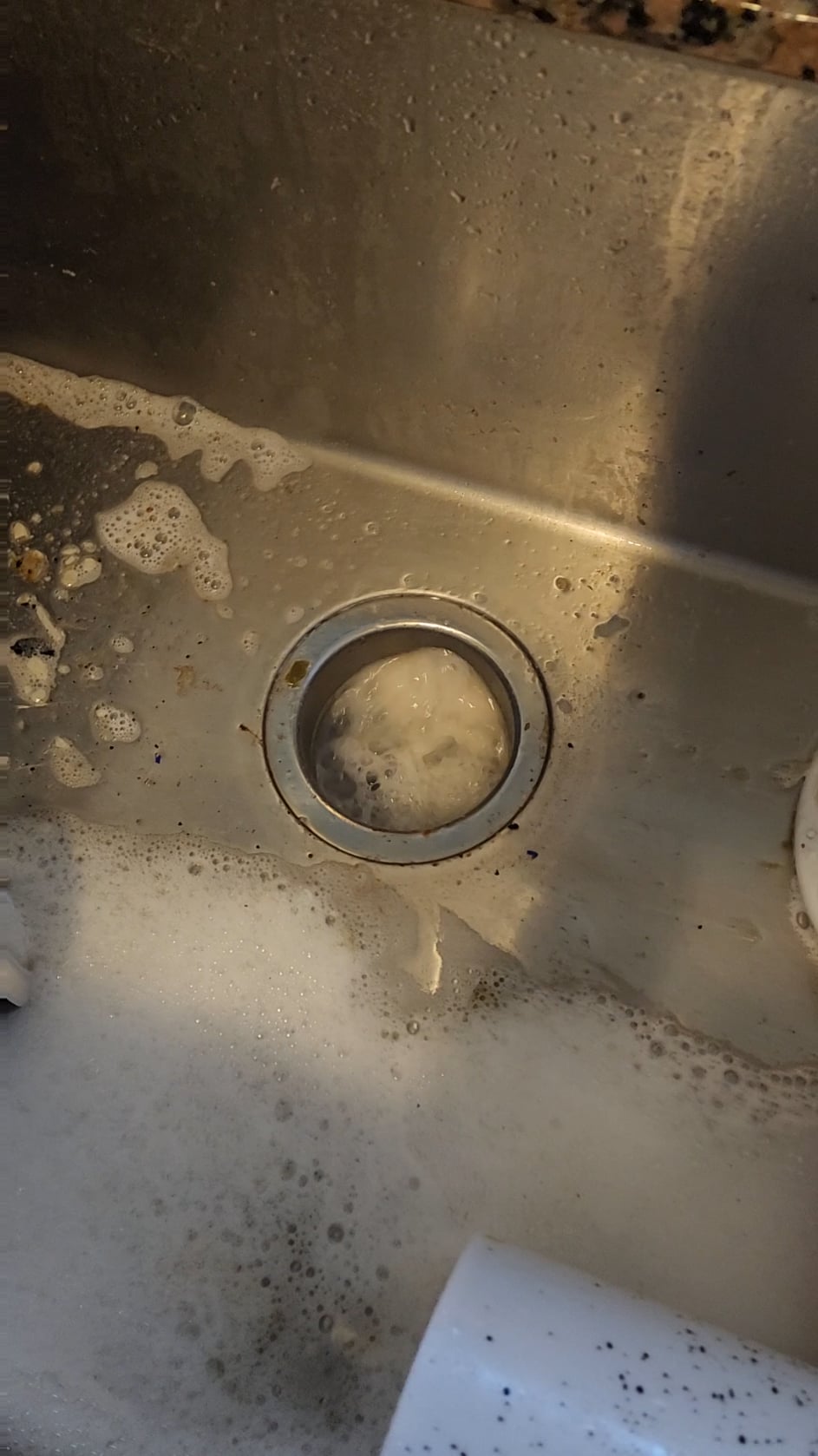 stagnant water in garbage disposal
