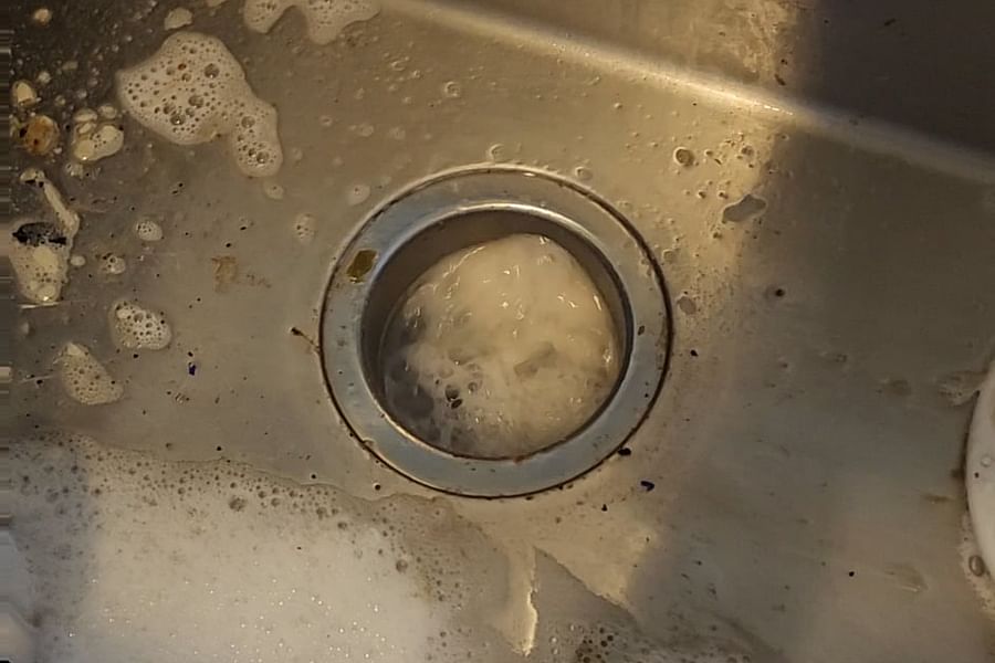 stagnant water in garbage disposal