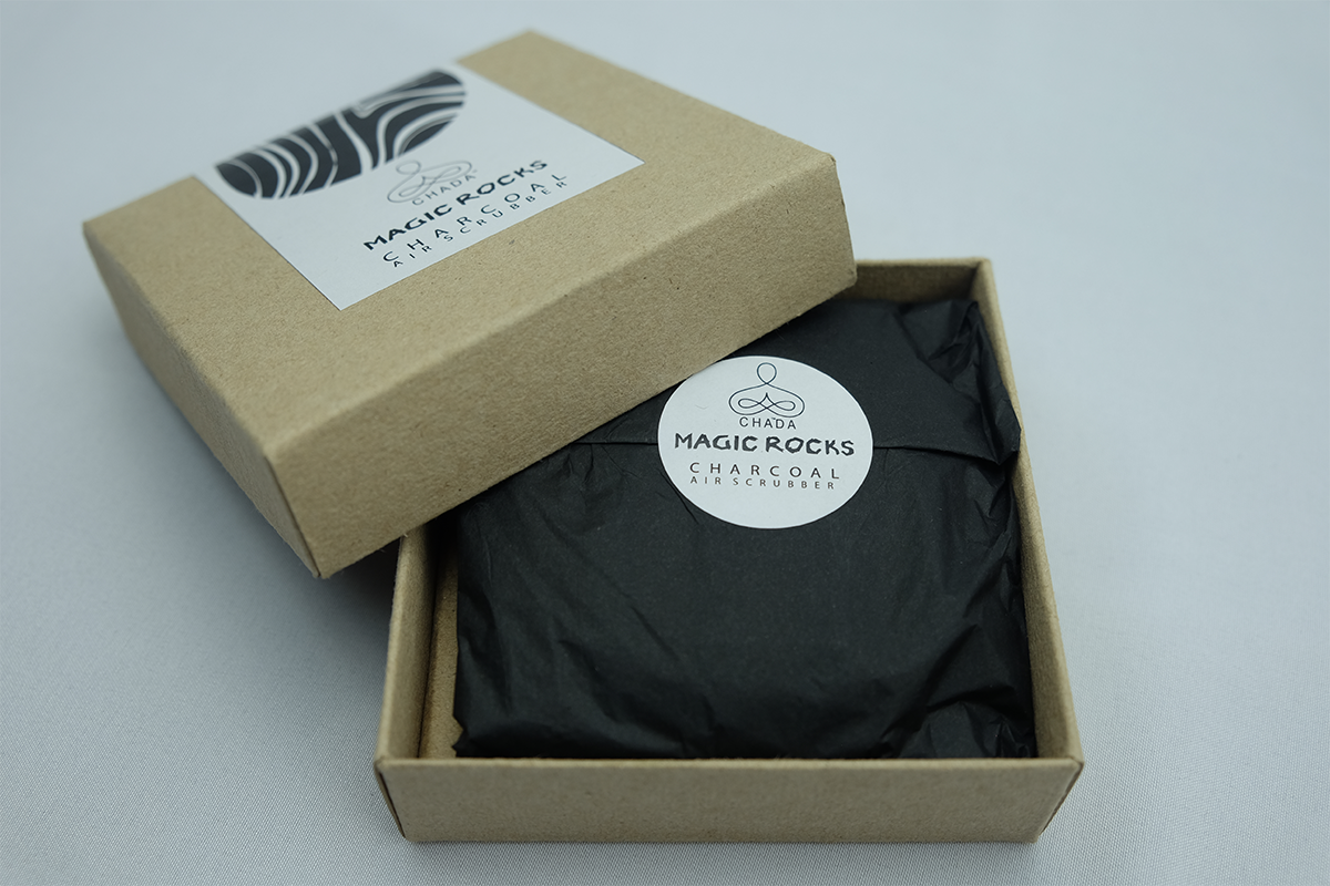 Rechargeable Charcoal Deodorizer Box