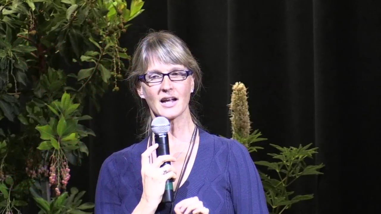 GreenCitizen e-waste services