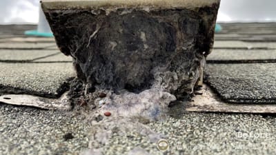 DIY vs Professional: Choosing the Best Dryer Vent Cleaning Method