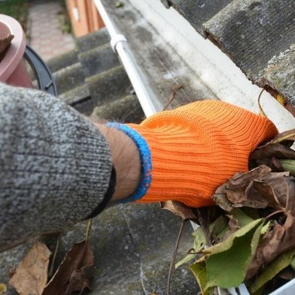 The Real Cost of Gutter Cleaning: When to DIY and When to Call Experts