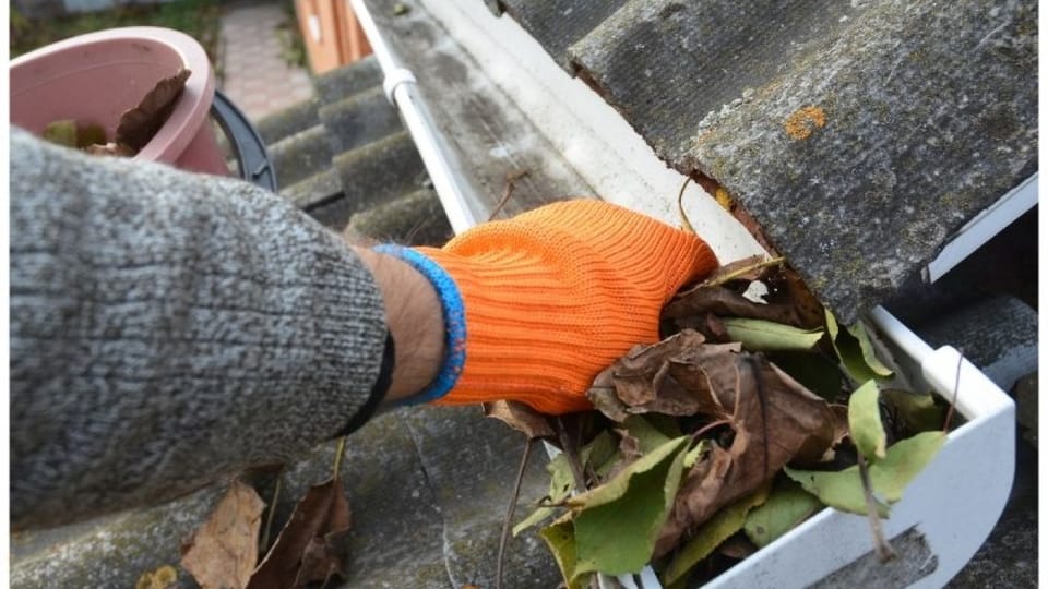 The Real Cost of Gutter Cleaning: When to DIY and When to Call Experts