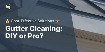 Gutter Cleaning: DIY or Pro? - 💰 Cost-Effective Solutions 💼