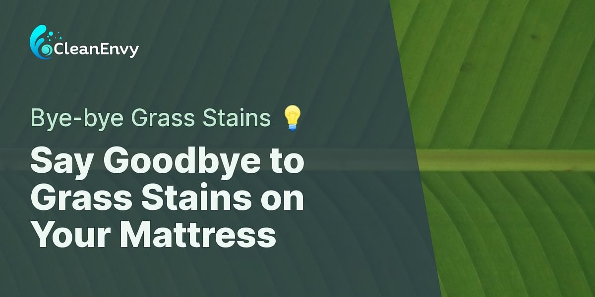 Mastering Grass Stain Removal from Your Mattress Clean Envy