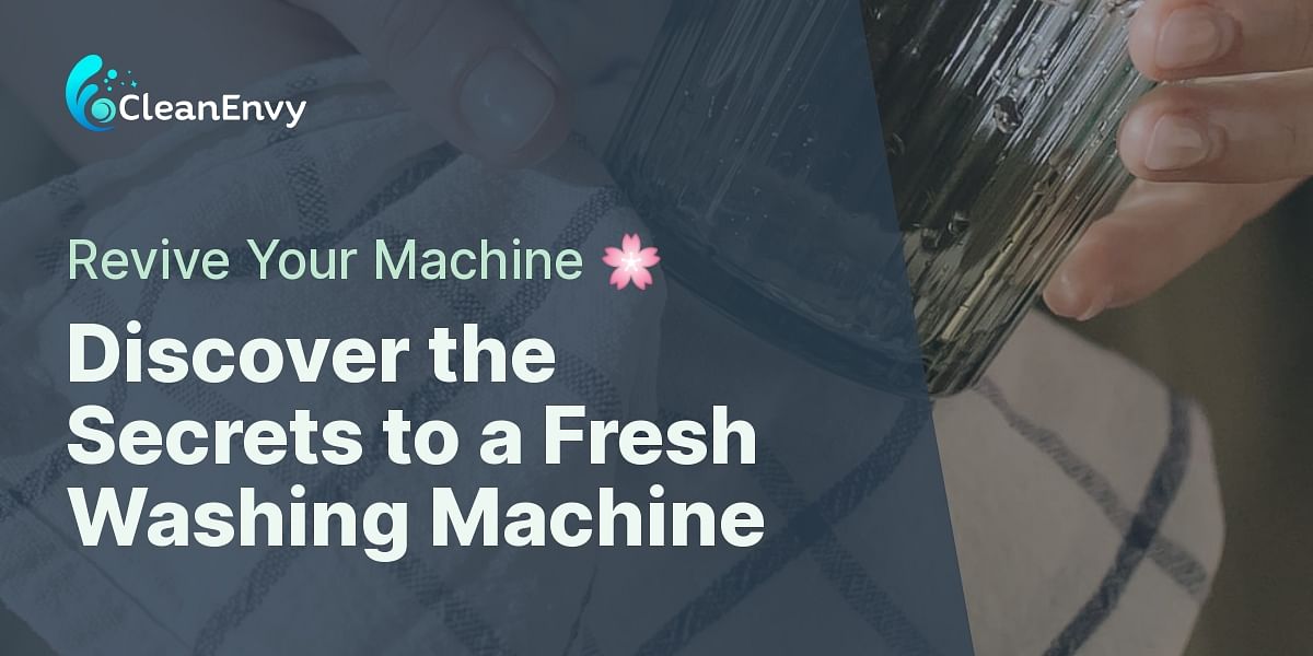 Causes and Signs of a Smelly Washing Machine Quiz Clean Envy