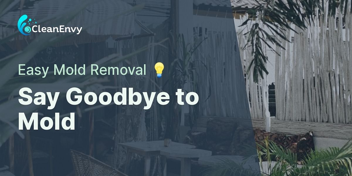 Using Hydrogen Peroxide to Remove Mold StepbyStep Guide Clean Envy
